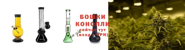 спиды Нея