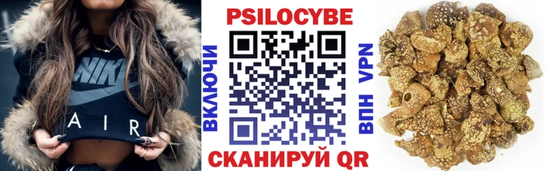 где можно купить   Стерлитамак  Галлюциногенные грибы мухоморы 