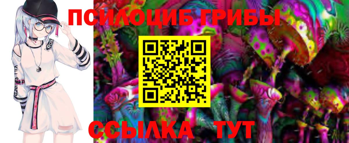 Псилоцибиновые грибы Cubensis Стерлитамак